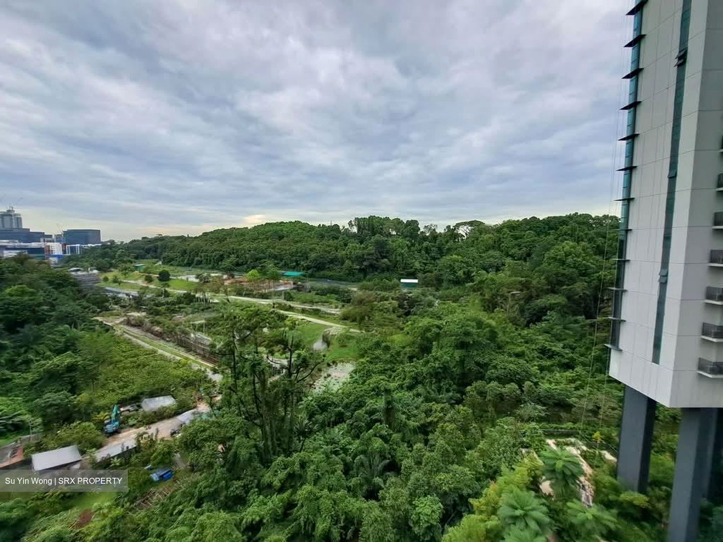 Normanton Park (D5), Apartment #602664271